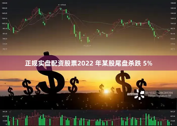 正规实盘配资股票2022 年某股尾盘杀跌 5%