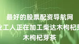 最好的股票配资导航网企业工人正在加工柴达木枸杞芽茶