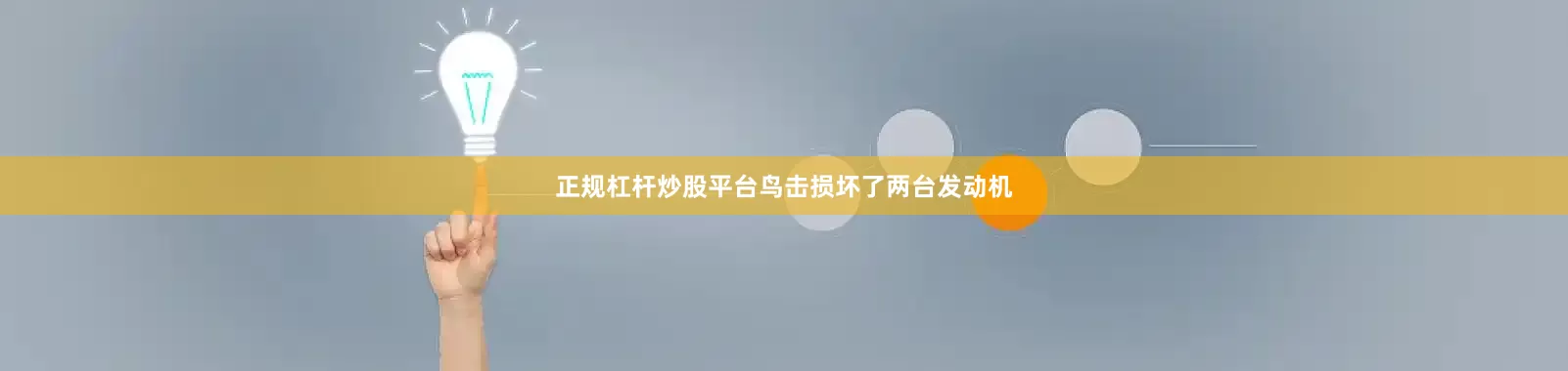 正规杠杆炒股平台鸟击损坏了两台发动机