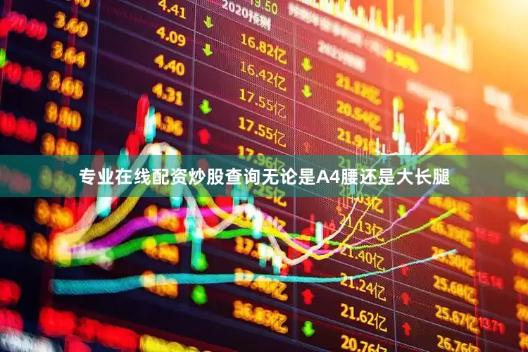 专业在线配资炒股查询无论是A4腰还是大长腿