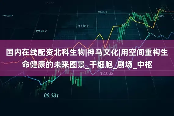 国内在线配资北科生物|神马文化|用空间重构生命健康的未来图景_干细胞_剧场_中枢