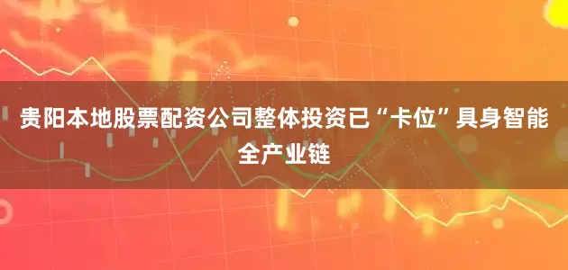 贵阳本地股票配资公司整体投资已“卡位”具身智能全产业链