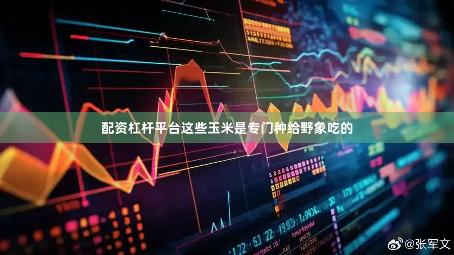 配资杠杆平台这些玉米是专门种给野象吃的