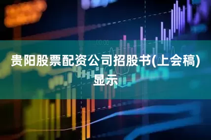贵阳股票配资公司　　招股书(上会稿)显示